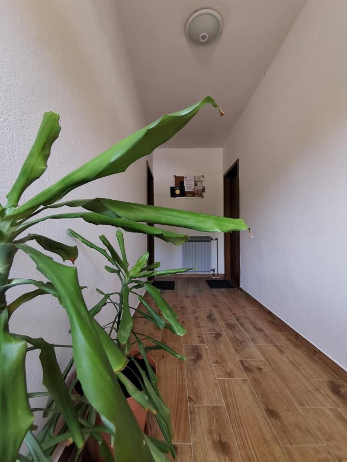 Apartment Martina Banjol Exteriör bild